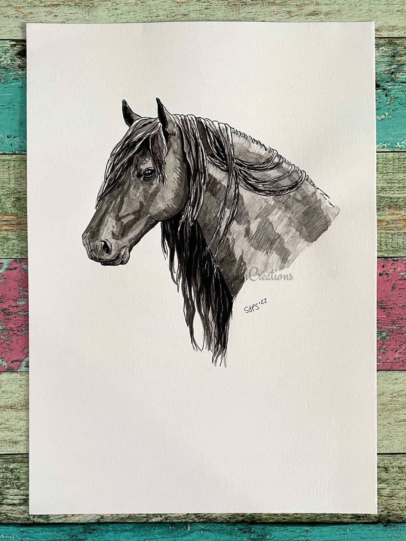 friesian horse head drawings