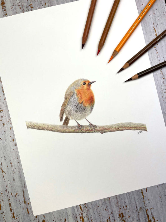 Robin Original Colored Pencil Drawing